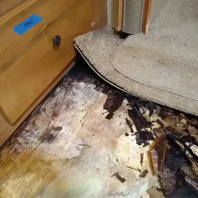 Wood Floor Water Damage in Ontario, NY